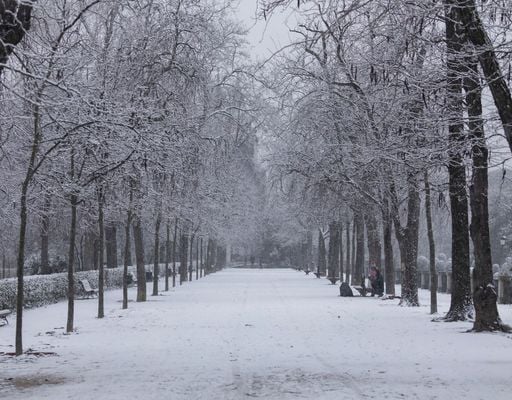 Um investigador de meteorologia explica: neve precoce, sem precedentes desde há décadas, inverno rigoroso à vista