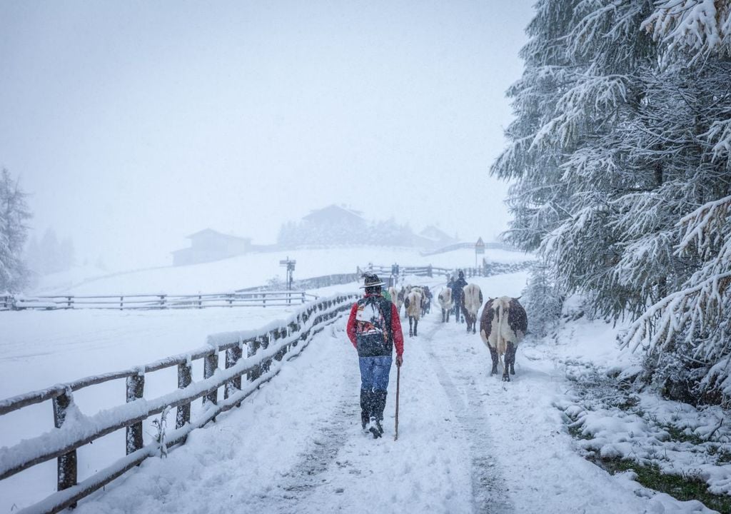 In den Alpen stürzt die Schneefallgrenze auf 1500 bis 2000 m.