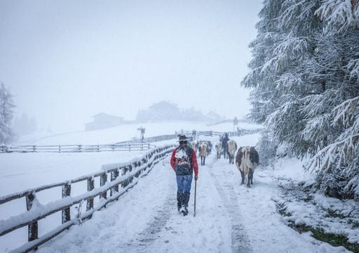 Wetterforscher warnt: Eisheiligen schlagen brutal zu &ndash; jetzt drohen sogar bis zu 25 cm Schnee!