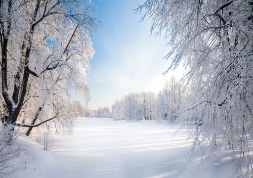 &bdquo;Es wird richtig kalt": Wetterforscher warnt &ndash; El Ni&ntilde;o und Bauernregel deuten auf harten Winter