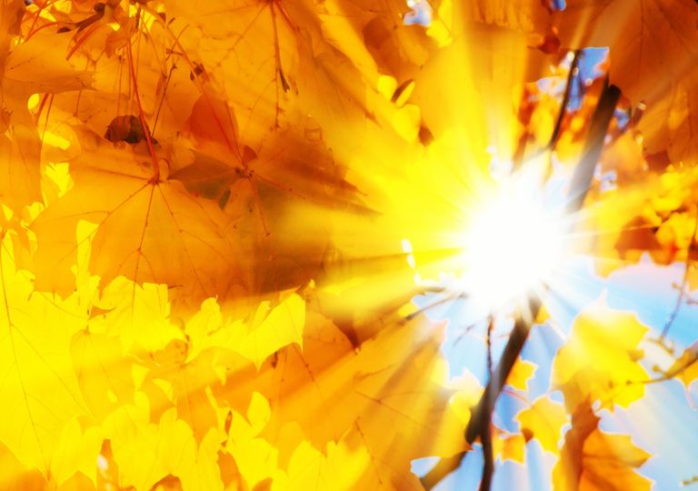 Goldener Oktober Goldener Oktober