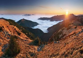 Goldener November weicht Nebel und Hochnebel!