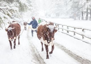 Heftiger Temperatursturz mit Schnee! Dauersommer endet!