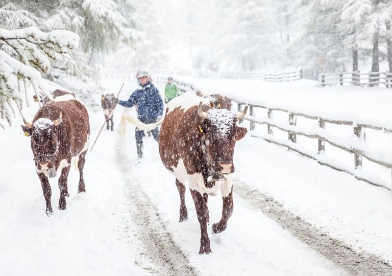 Heftiger Temperatursturz mit Schnee! Dauersommer endet! Heftiger Temperatursturz mit Schnee! Dauersommer endet!