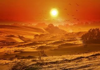 Nächste Hitzewelle in Sicht? Abkühlung nur von kurzer Dauer!