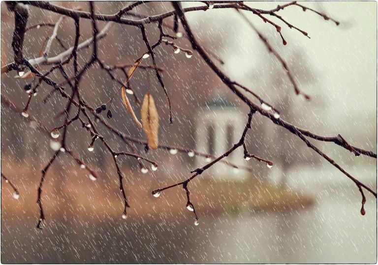 Vollherbst Vollherbst