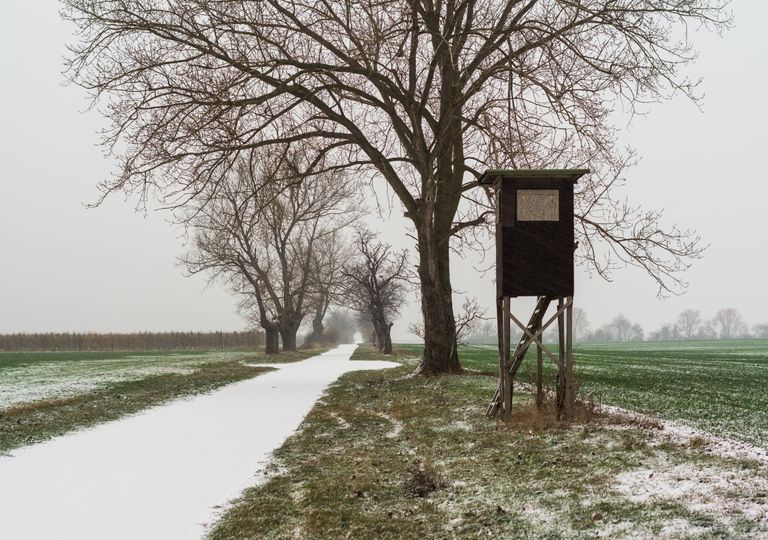 Schneefall Schneefall