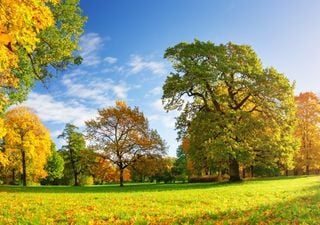 Dauersommer mit über 30°C in Deutschland: Wann kommt der Wettersturz? Schleicht sich bald der Herbst an?