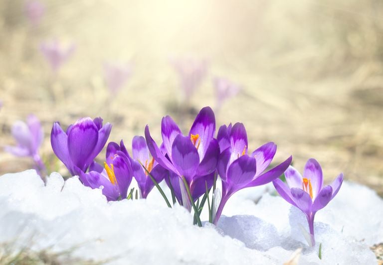 Wettersturz in NRW mit "Schnee bis 400 Meter runter" - Mai-K&auml;lte auch zum langen Wochenende?