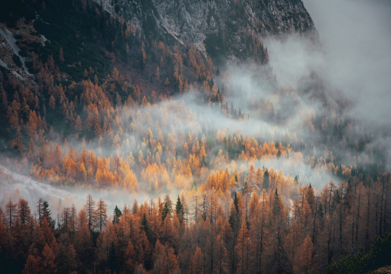 Der Wintereinbruch ist abgesagt. Es geht einfach für die Jahreszeit ziemlich gewöhnlich weiter: Herbstwetter!