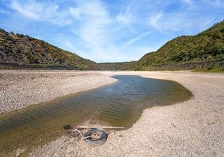Der Rhein ist bald ausgetrocknet: kein Ende bei Hitze und Dürre in Sicht!