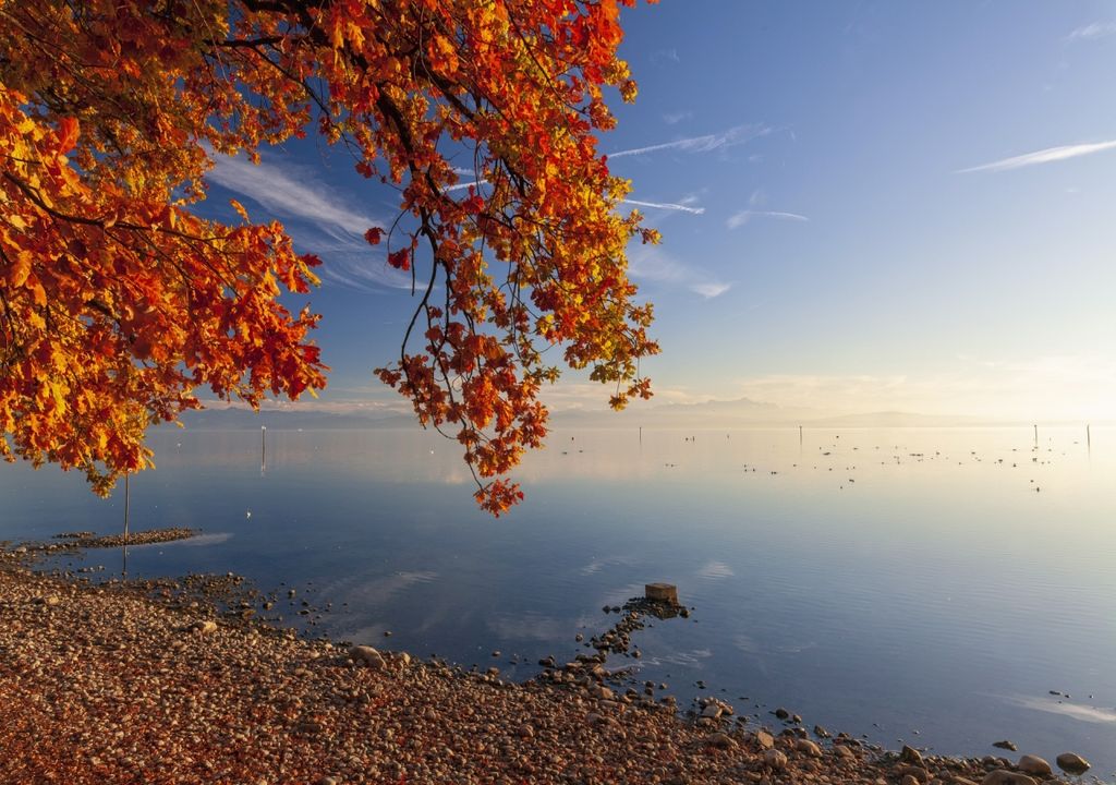 Goldener Herbst Goldener Herbst