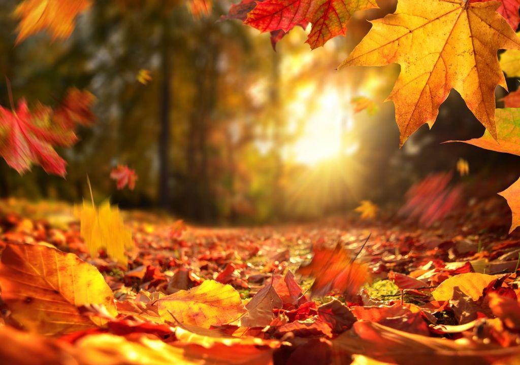 Herbstwetter Herbstwetter