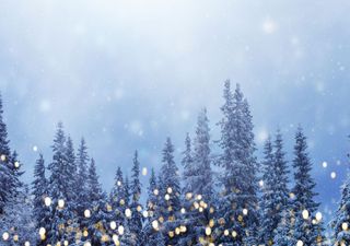 Schneetief an Weihnachten oder Frühlingserwachen!