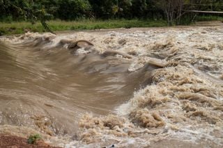 What are Flash Floods and How Should You Prepare and React for One?