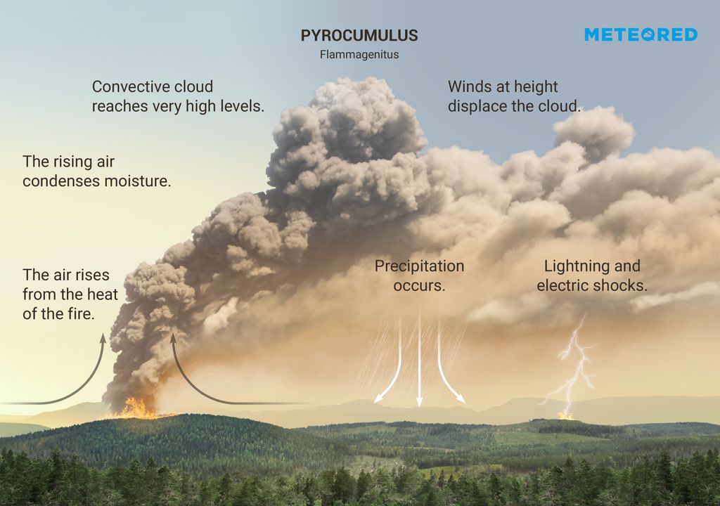 Pyrocumulus or flammagenitus cloud.