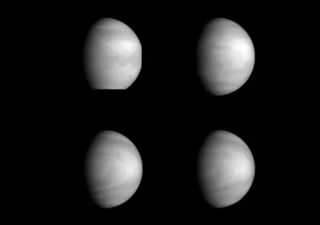 ¿De qué están hechas las nubes de Venus? Se descubre el componente químico que faltaba