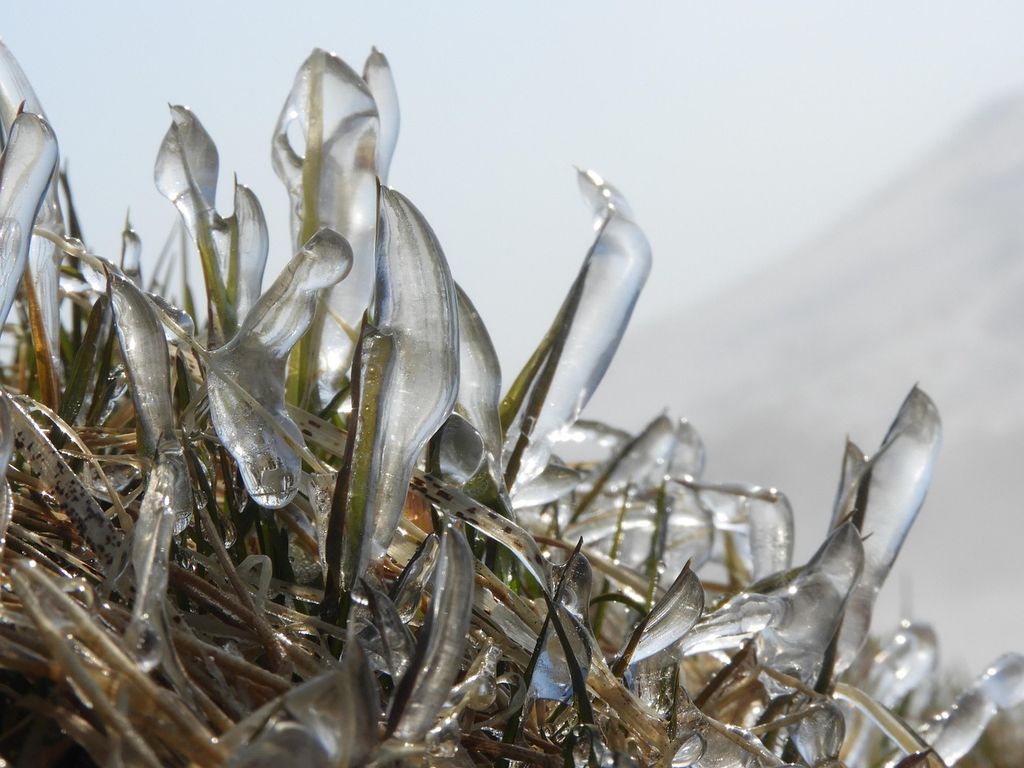 Freezing rain occurs when liquid rain falls and freezes upon contact with cold surfaces.