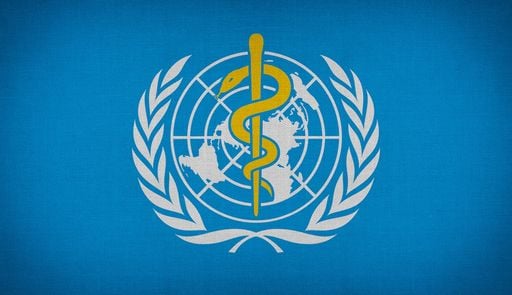 WHO-Kommission will die Klimakrise zum globalen Gesundheitsnotstand erkl&auml;ren