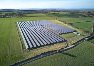 Why are bats less active at solar farms?