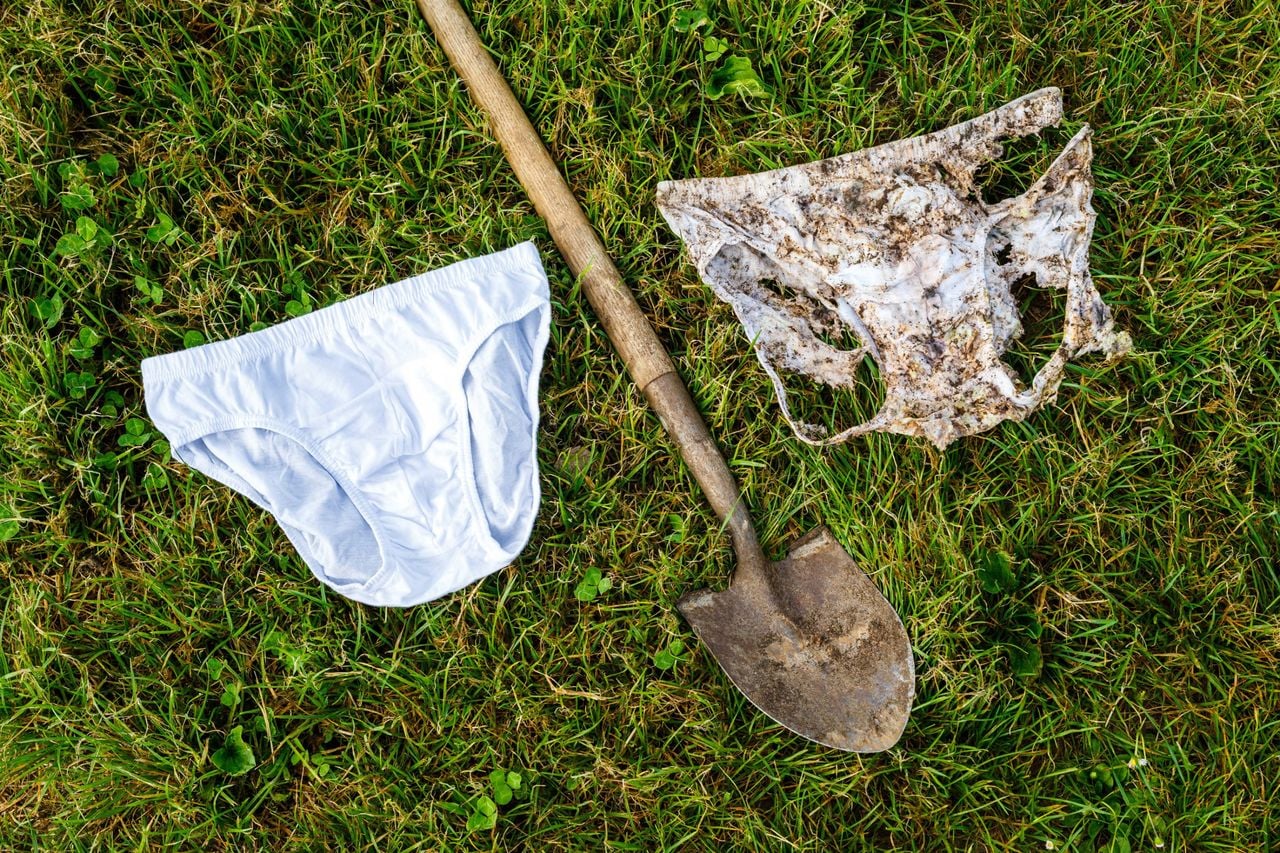 The speed at which underpants decomposed indicated activity in the soil