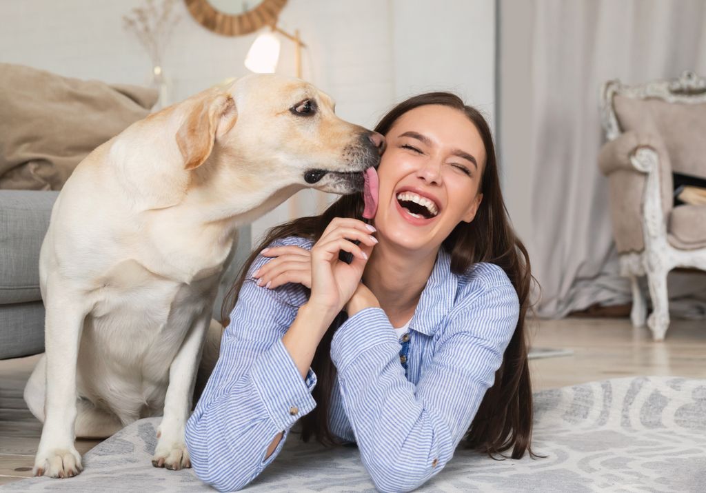 dog licking his owner