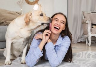 Why do dogs lick people? The surprising reasons behind this behavior