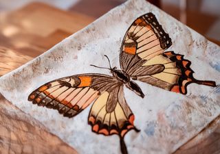 Why preferring pretty butterflies is problematic for biodiversity conservation