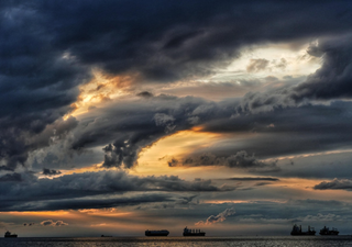 Why scientists are pushing for conservation efforts at China’s Greater Bay Area 