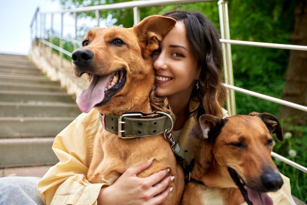 Una joven encantadora y sonriente descansa mientras pasea por el parque con dos perros dorados. La niña abraza a sus mascotas. Amor y cariño entre su dueño y su mascota. Adoptando una mascota de un refugio. Una joven encantadora y sonriente descansa mientras pasea por el parque con dos perros dorados. La niña abraza a sus mascotas. Amor y cariño entre su dueño y su mascota. Adoptando una mascota de un refugio.