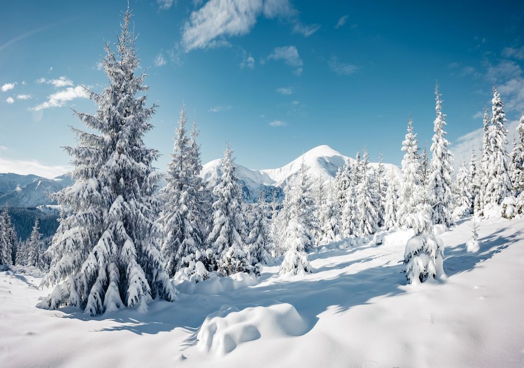 Winterwetter Winterwetter