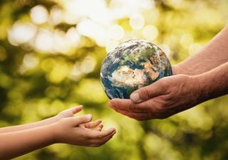 Wie das Essen an Schulen nicht nur die Kinder satt macht, sondern auch unserem Planeten hilft