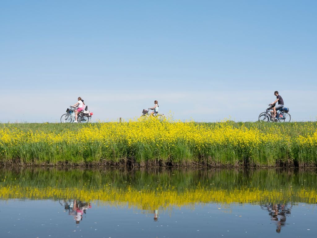 Radfahren Auch für Fahrradtouren ist die Umgebung ideal. Foto: Adobe Stock