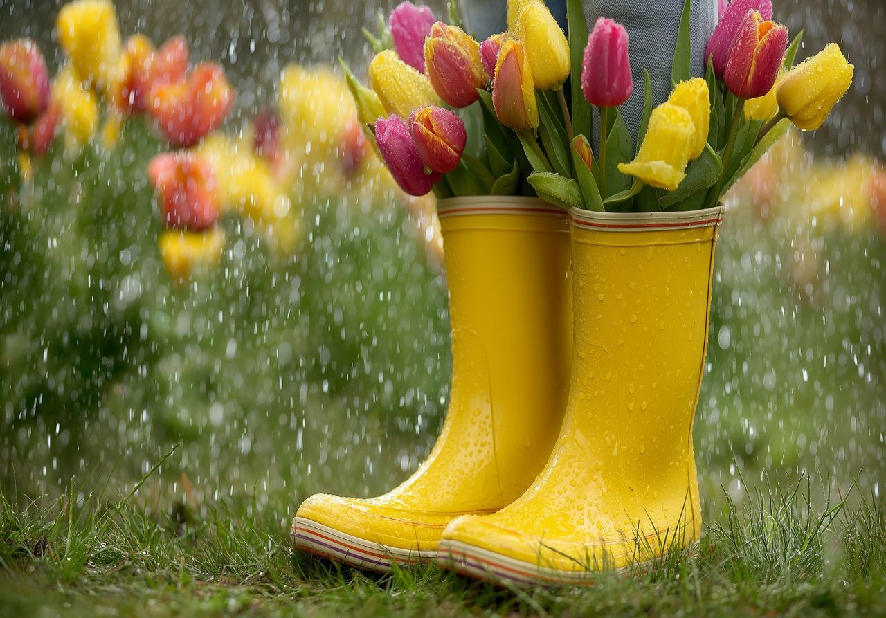 Regen im Frühling? Gehört irgendwie dazu (Foto: Adobe Stock)