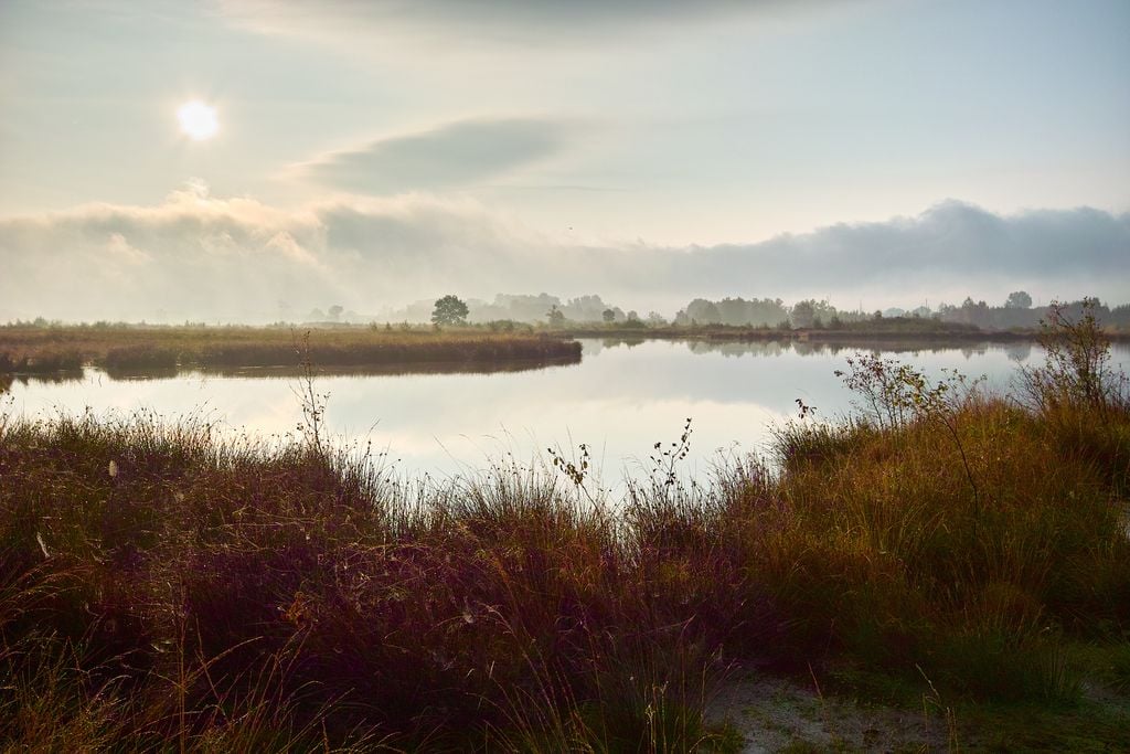 Hiller Moor 2 Auch Wasserflächen gehören zum Torfmoor. Foto: Adobe Stock