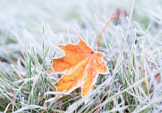 Wie lange bleibt die Frühwinterluft?