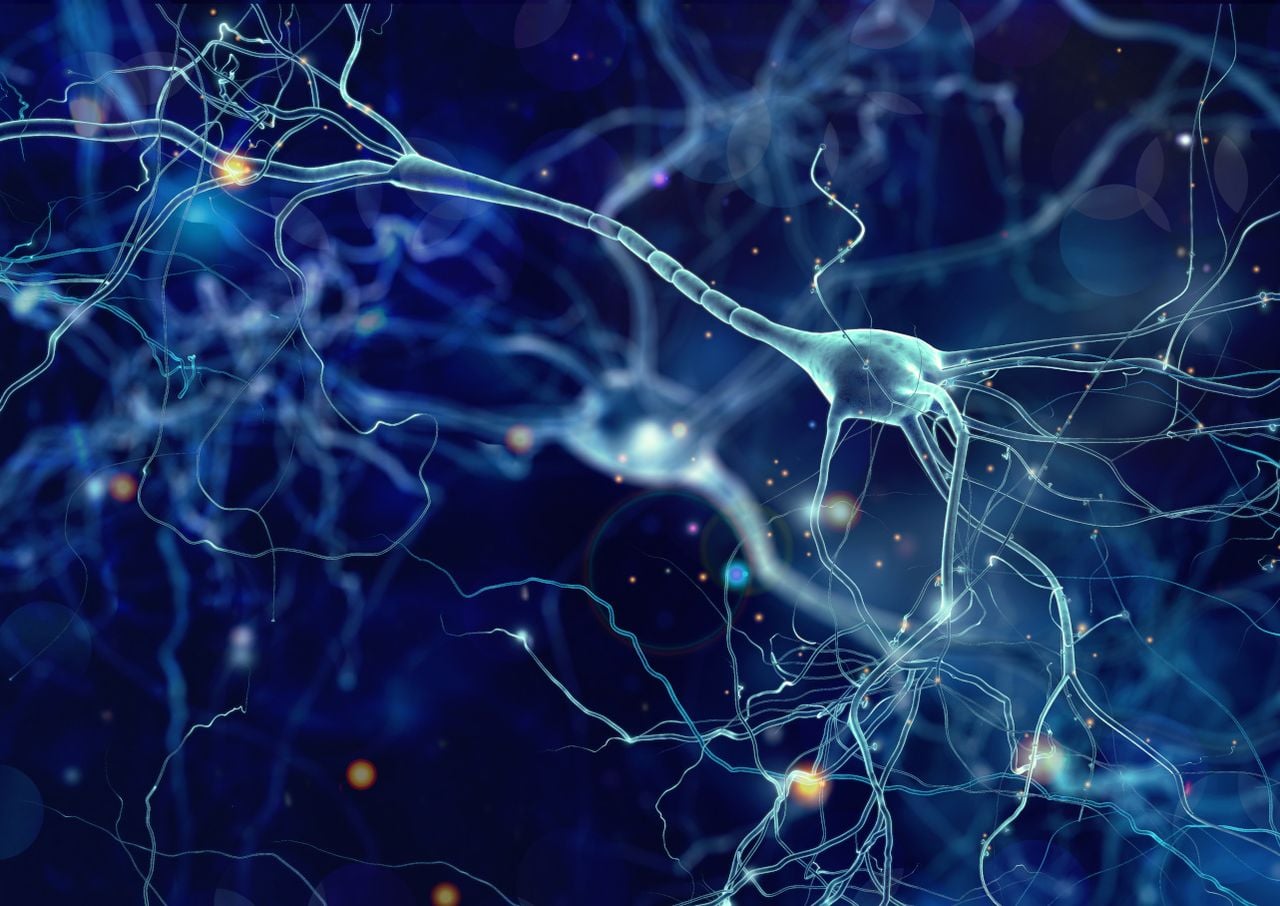 Nuestro cerebro es incluso más activo durante el aprendizaje de lo que se creía anteriormente.