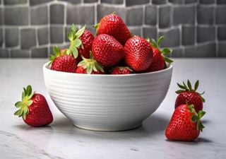 Wie man Erdbeeren zu Hause im Frühherbst pflanzt - wir zeigen es Euch