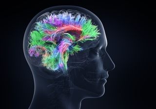 Wie skurril! Lithium soll gegen Alzheimer helfen