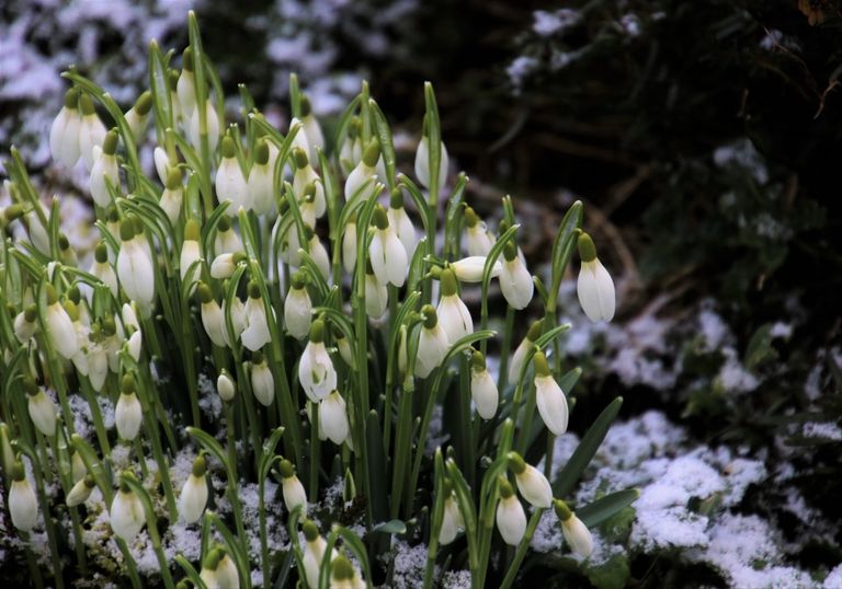 Winter oder Frühling Winter oder Frühling