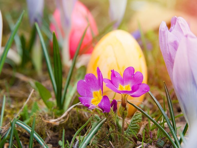 Ostern bei Sommerwetter? Ostern bei Sommerwetter?