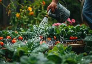 Wie wird der Garten wieder sch&ouml;n nach Dauerregen oder Schnee?