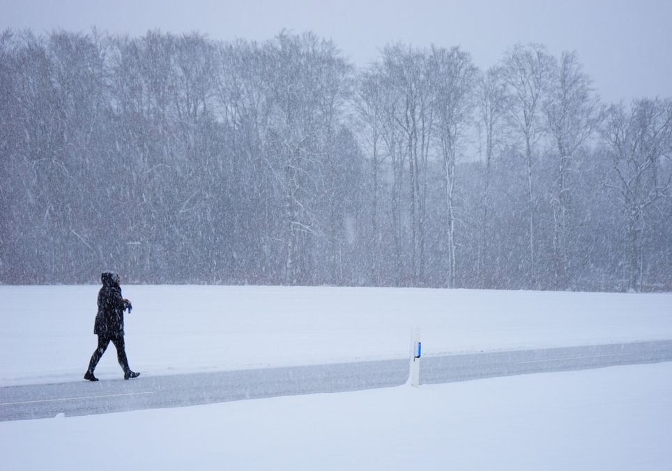 Winter 2018 2019 Winter 2018 2019