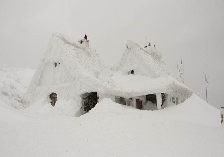 Wintervorhersage Wintervorhersage
