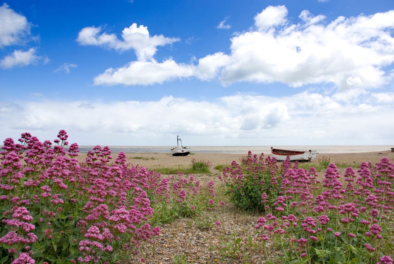 Weite Strände, einsame Boote: Die Küste East Anglias inspirierte zahlreiche Krimi-Autoren. Foto: Adobe Stock