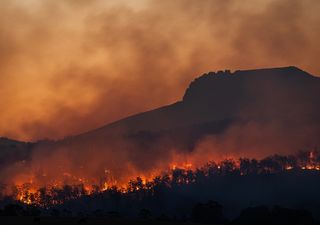 Wildfire review reveals 70% of fires occurred in Northern Hemisphere in 2023