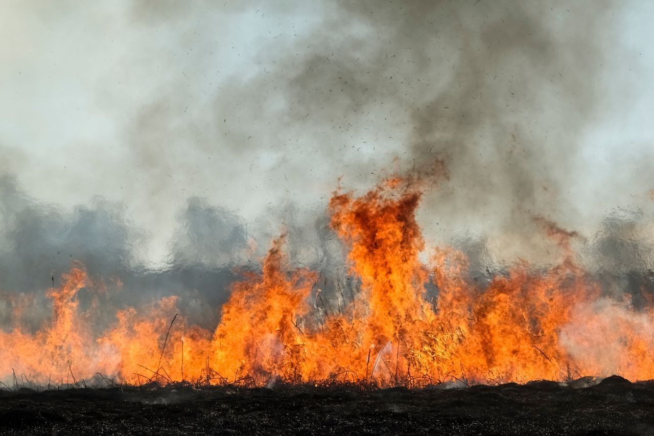 Wildfire Threat Across West Grows As Hot March Temperature And Windy ...