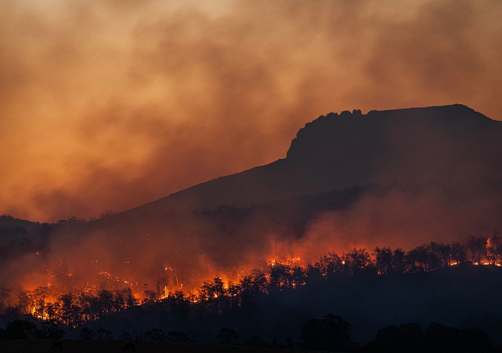 Wildfires on the rise, but UK underprepared