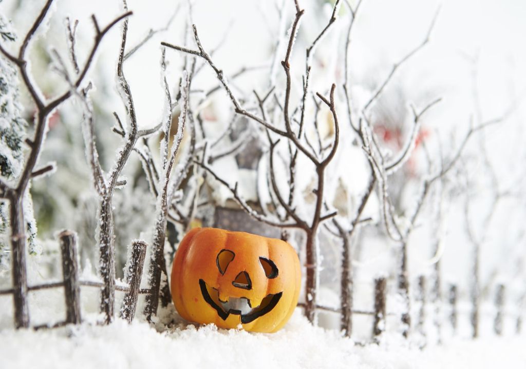 pumpkin in the snow