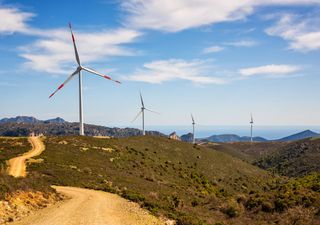 Schockierende Enthüllung: So bedrohen Windräder unsere Umwelt! Forscher präsentieren revolutionäre Lösung